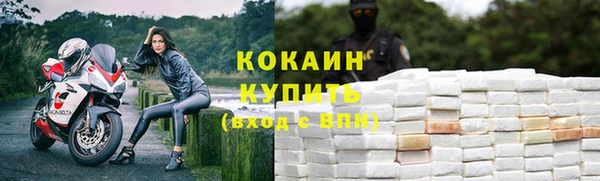apvp Белокуриха