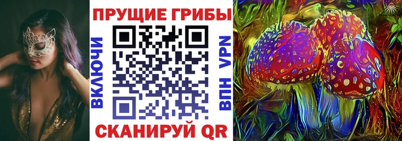 Галлюциногенные грибы Psilocybe  блэк спрут маркетплейс  Клин 